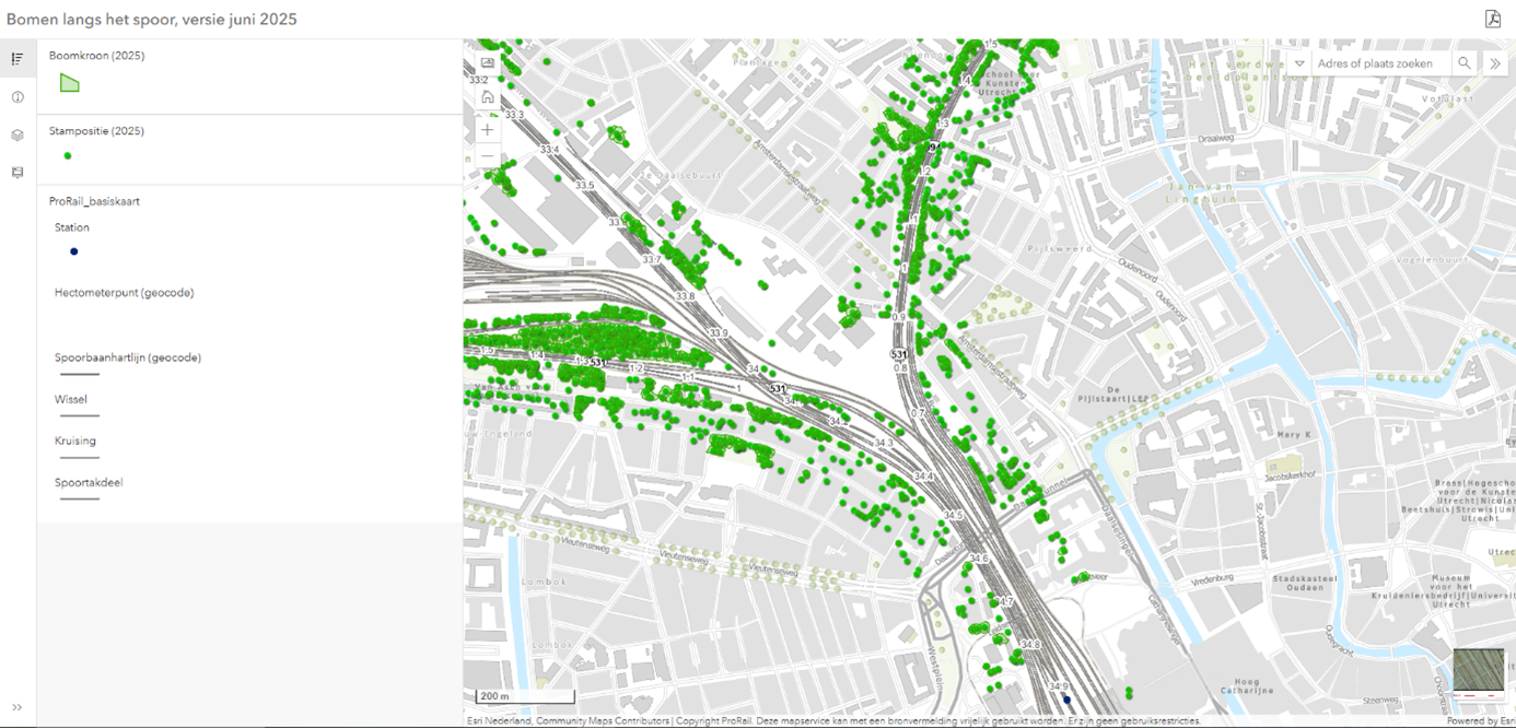 Bomen langs het spoor